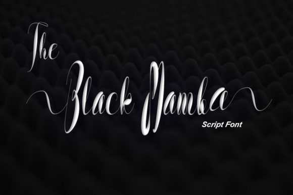 The Black Mamba: A Romantic Script Handwritten Font for Editors