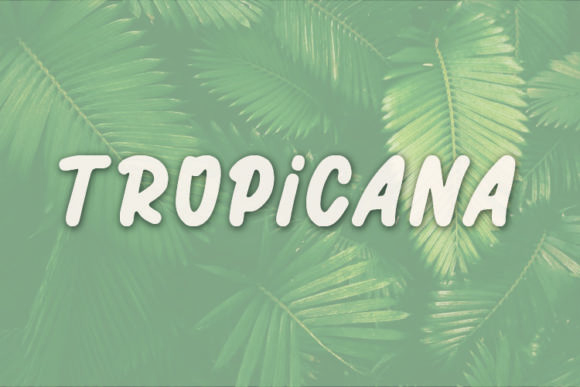 Tropicana Font Review: A Cute Script for Campaigns